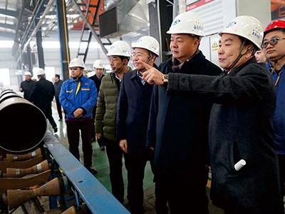 衡陽市委書記、市人大常委會主任鄭建新視察金化高容